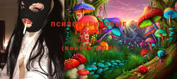 гашик Алзамай