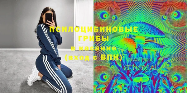 гашик Алзамай