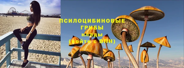 гашик Алзамай