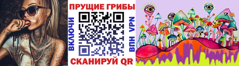 купить наркотики цена Красноуфимск Галлюциногенные грибы Cubensis